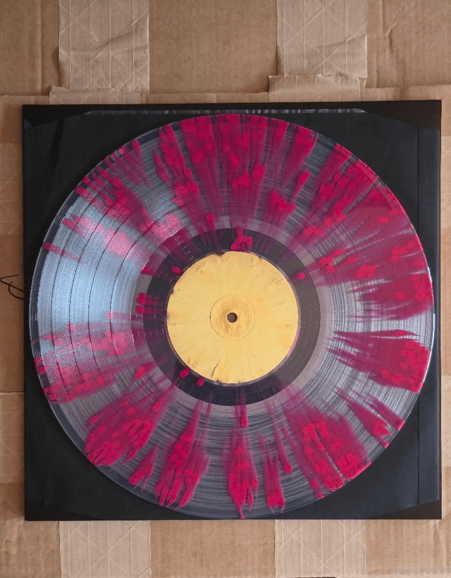 No-OnE cArEs! Vinyl