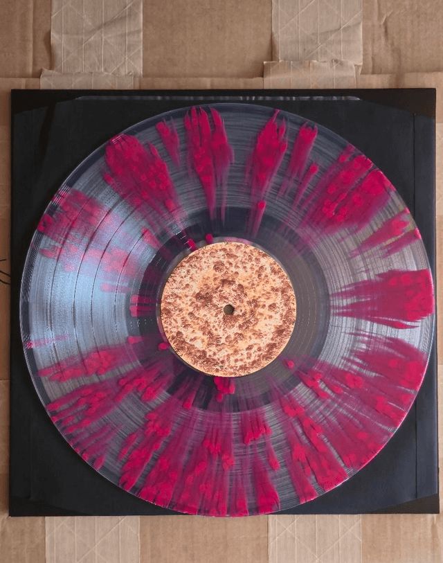 No-OnE cArEs! Vinyl
